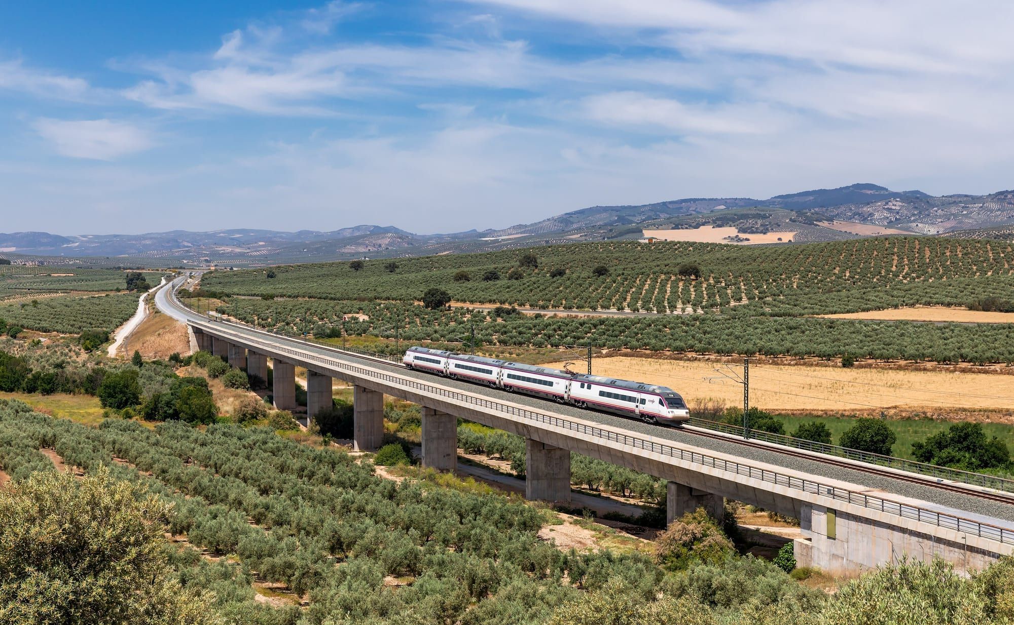 Un train à grande vitesse blanc de la Renfe traverse un long viaduc au milieu d'oliveraies, sous un ciel bleu.