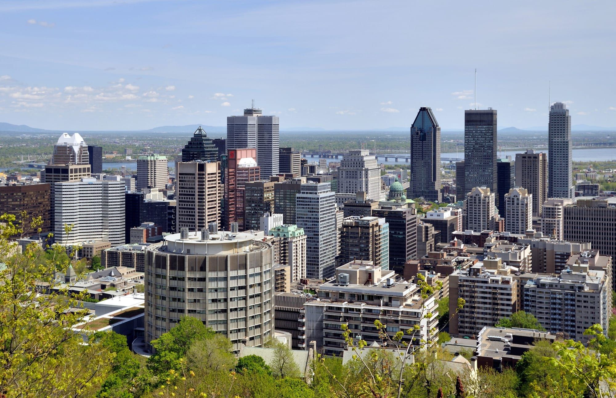 Vue sur les gratte-ciel du centre-ville de Montréal depuis le mont Royal, avec des arbres au premier plan et le fleuve à l'horizon.